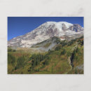 Search for mt rainier postcards Mountain