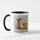 Search for mat mugs Humour
