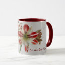 Recherche de amaryllis maison deco Rouge