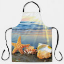 Search for sandy aprons Sea shells