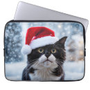 Search for cat humour cases Kitten
