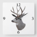 Recherche de chasse photographie Cerf