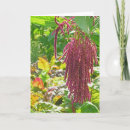 Search for lis cards Floral