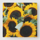 Search for sale clocks Danita delimont