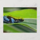 Search for toad picture postcards Nature