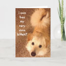 Search for funny cat dog birthday cards Cute