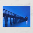 Search for naples florida postcards City