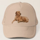 Search for golden retriever hats Retrievers