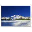 Search for shasta cards California