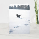 Recherche de labrador christmas cards Black