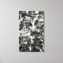 Recherche de arbre noir et blanc posters toiles Abstrait