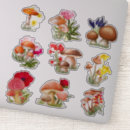 Recherche de supplies scrapbook stickers Papeterie