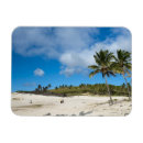 Recherche de polynésie vœux cartes Chicane