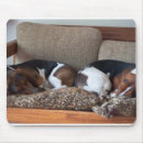 Search for basset hound mousepads Animal