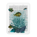 Search for fishes rectangular magnets Marine life