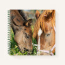 Search for horse notebooks Foal