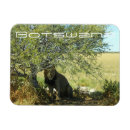 Recherche de centre de magnets Paysage