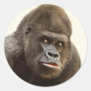 Search for funny expression stickers Animal