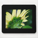 Search for ladybug mousepads Nature