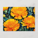 Recherche de souci cartes postales Orange
