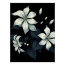 Recherche de jasmin posters Blanc