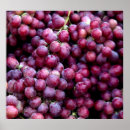 Recherche de raisins rouges posters Feuille
