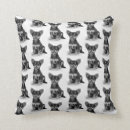 Search for fluffy pillows Pattern