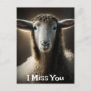 Recherche de brebis cartes postales Mouton