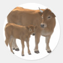 Search for jersey cows stickers Calf