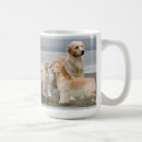 Recherche de noël golden retriever tasses Chien