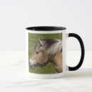 Search for high horse mugs High angle view
