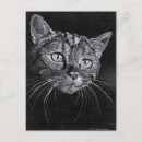 Recherche de visage de chat cartes postales Blanc