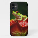 Search for tree frog cases Costa rica