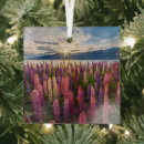 Search for new zealand ornaments Lupine
