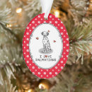 Recherche de chien dalmatien ornements Dog