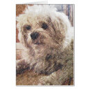 Recherche de amour sans conditions Chiens