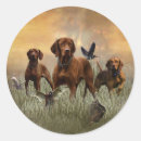 Search for vizsla gear stickers Hunting