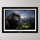 Search for poaching posters Rwanda