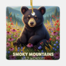 Search for gatlinburg ornaments Smoky