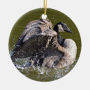 Search for canada ornaments Outdoors