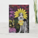 Recherche de chien multiplie Chiots