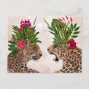 Recherche de safari jungle postcards Guépard