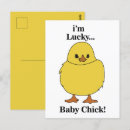 Search for easter chicks postcards Cute