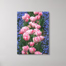 Recherche de rose de tulipe art Fleurs