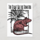 Recherche de sherlock cartes postales Holmes