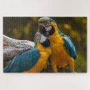 Search for parrots puzzles Parrot lover