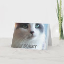 Search for funny apology cards Apologies