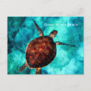 Search for tropical sea postcards Summer