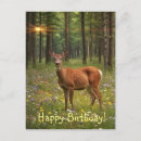 Search for deer hunting cards Forest