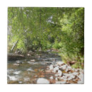 Search for arizona tiles Landscape